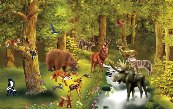 Puzzle Nivel 1: Animales del bosque | Recurso educativo 34313