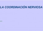 La coordinación nerviosa | Recurso educativo 34781