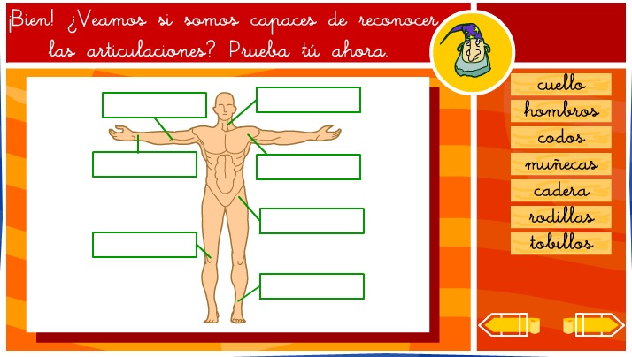 Las articulaciones del cuerpo humano | Recurso educativo 35585