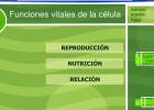 Las funciones vitales de la célula | Recurso educativo 35638