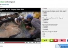 Video: River Monsters, Stingray | Recurso educativo 38589