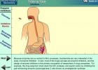 Video: Enzyme Inhibition | Recurso educativo 39917