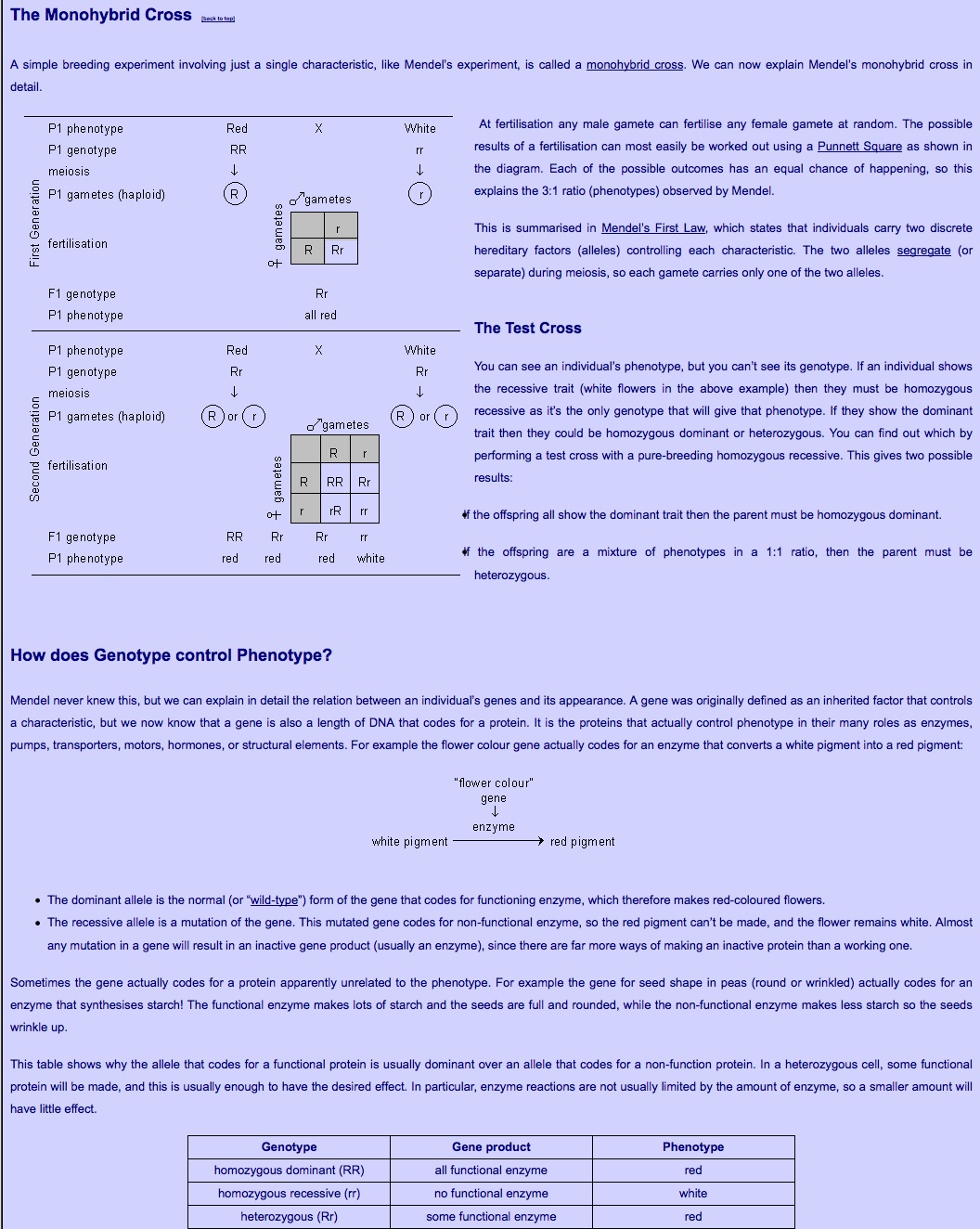 Principles of Mendelian Inheritance | Recurso educativo 40003