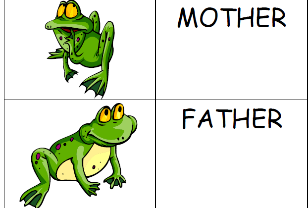 The frog family | Recurso educativo 40555