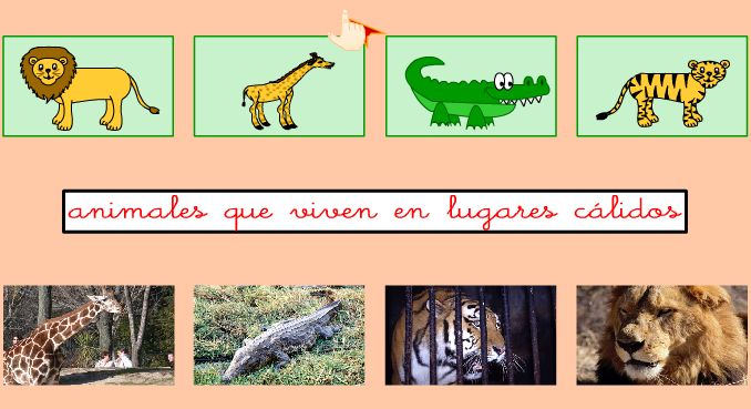 Los animales | Recurso educativo 40780