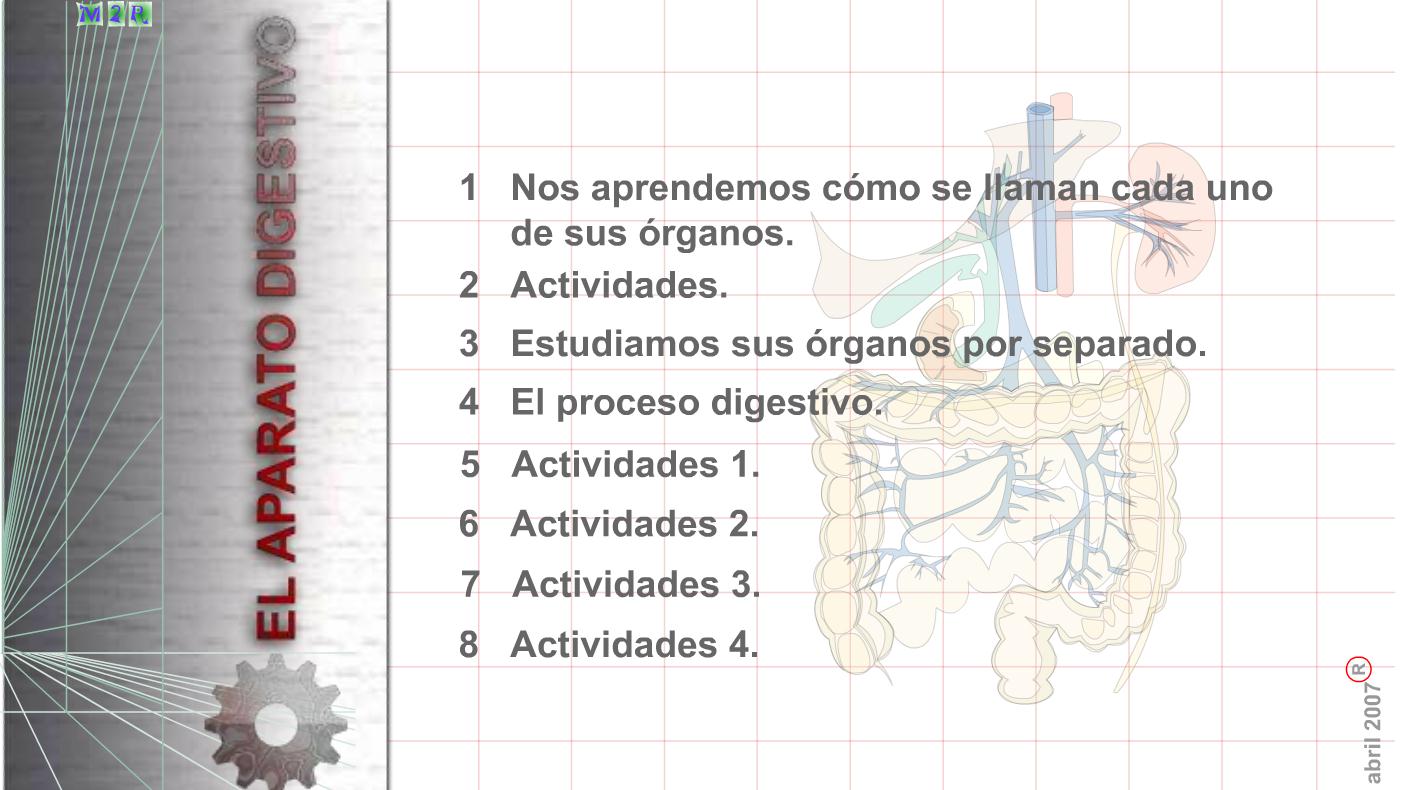 Aparato Digestivo | Recurso educativo 41239