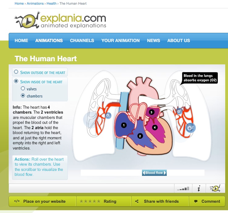 Video: The human heart | Recurso educativo 41292