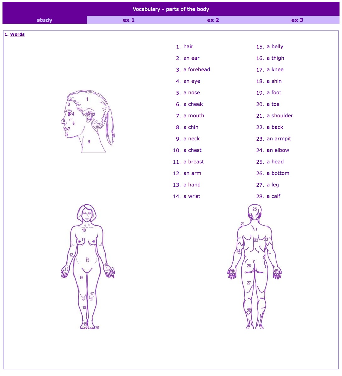 Parts of the Body | Recurso educativo 41691