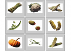 Vegetables flashcards | Recurso educativo 41945