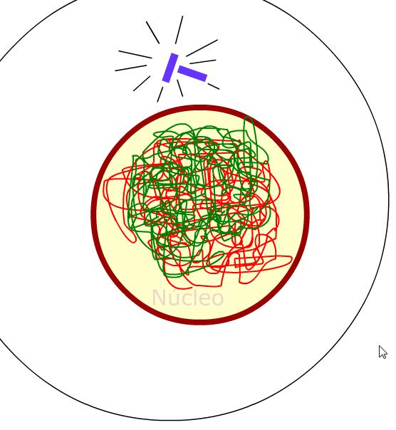 Mitosis | Recurso educativo 43689