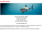 Great white sharks | Recurso educativo 45655