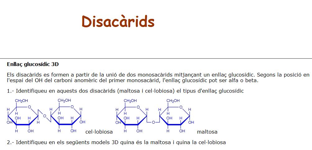 Disacáridos | Recurso educativo 46592