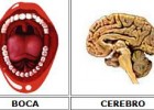 El cuerpo humano:  Órganos y sistemas | Recurso educativo 46693