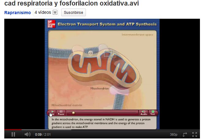 Cadena respiratòria i transport d'electrons | Recurso educativo 47096