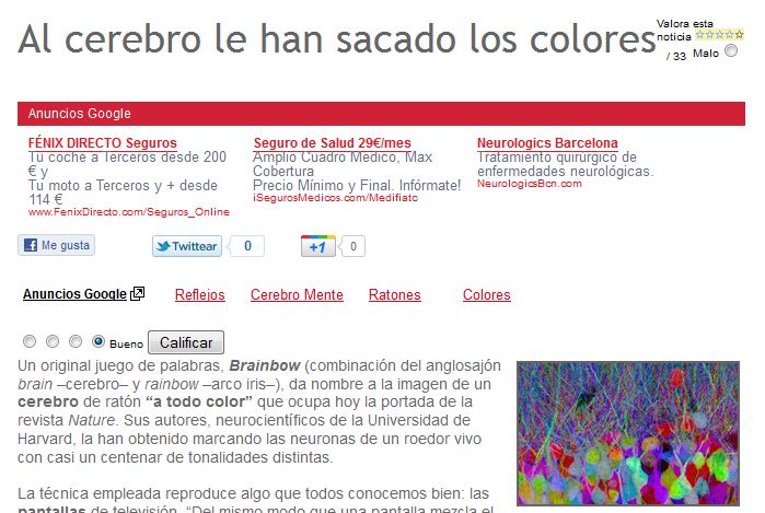 Els colors del cervell | Recurso educativo 49104