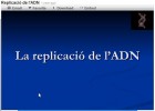 La replicació de l'ADN | Recurso educativo 49512