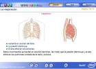 Respiración | Recurso educativo 49528