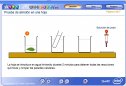 Prueba del almidón en una hoja | Recurso educativo 51625