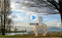 Jaume Plensa | Recurso educativo 53985