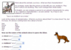 Animal idioms | Recurso educativo 56769