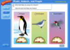 Birds | Recurso educativo 58951