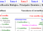 Clasificación d elas plantas | Recurso educativo 13873