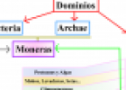 Clasificación biológica | Recurso educativo 13905