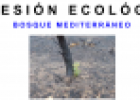 Sucesión bosque mediterráneo | Recurso educativo 15701