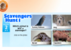 Scavengers Hunt | Recurso educativo 17048