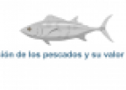 Clasificación de los pescados y su valor nutritivo | Recurso educativo 17797