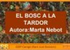 El bosc a la tardor | Recurso educativo 21355