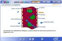 Las enzimas y la digestión | Recurso educativo 2760