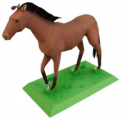 Animales: Caballo | Recurso educativo 31173