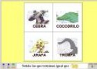 Aprender a leer con Elmer | Recurso educativo 5069