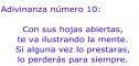 Usa el coco y adivina: tiene hojas | Recurso educativo 6140