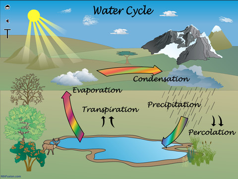 A life cycle | Recurso educativo 63531