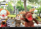 Song: Let's go to the zoo | Recurso educativo 69161