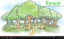 Video: Nature | Recurso educativo 69906