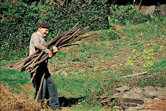 El mundo rural | Recurso educativo 70441