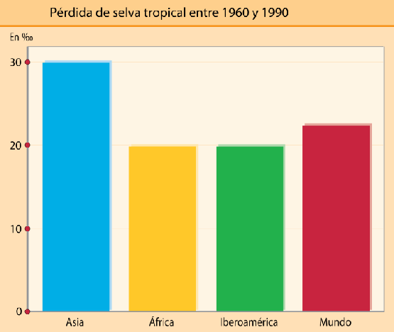 Explotación forestal | Recurso educativo 72696