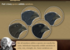 Darwin's evolution game | Recurso educativo 73164