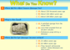 What do you know about Paleontology? | Recurso educativo 75413