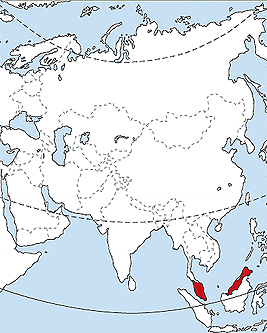 Malasia | Recurso educativo 75971