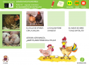 Somos investigadores: El nacimiento de un pollito | Recurso educativo 79037