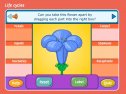 The main parts of a flower | Recurso educativo 80932