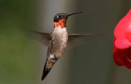 Tierra, agua, aire y fuego: naturaleza en movimiento con time-lapse y cámaras de alta velocidad | Esfera TIC | Recurso educativo 90713