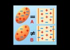 QUÉ ES LA ELECTROSTÁTICA | Recurso educativo 109056