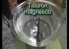 tiburón magnetico. | Recurso educativo 109661