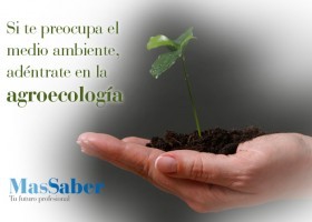 Curso de Agroecología | Recurso educativo 113591