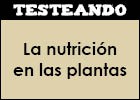 La nutrición en las plantas | Recurso educativo 350712